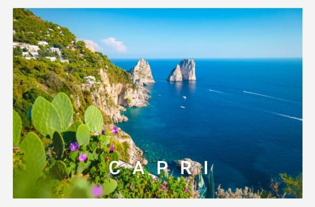 Villa Dei Miri, Near Pompeii, Sorrento & Amalfi Coasts 格拉格纳诺 外观 照片